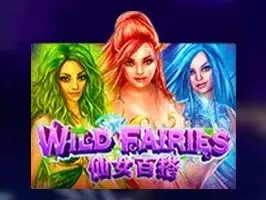 Wild Fairies game screenshot